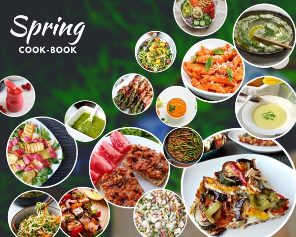 SPRING cook-book